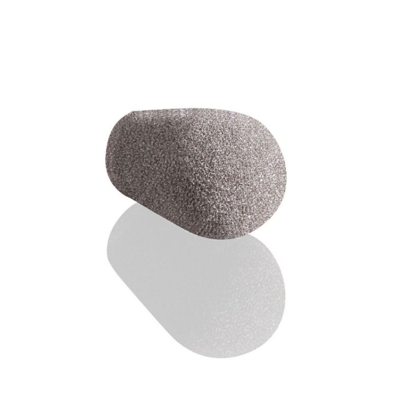 CeoTronics mousse grande pour micro